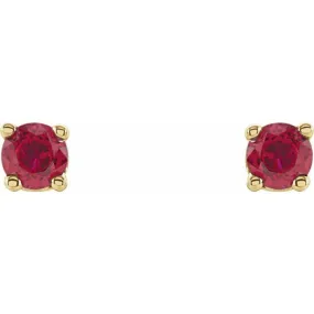 14K Yellow 2.5 mm Natural Ruby Stud Earrings with Friction Post