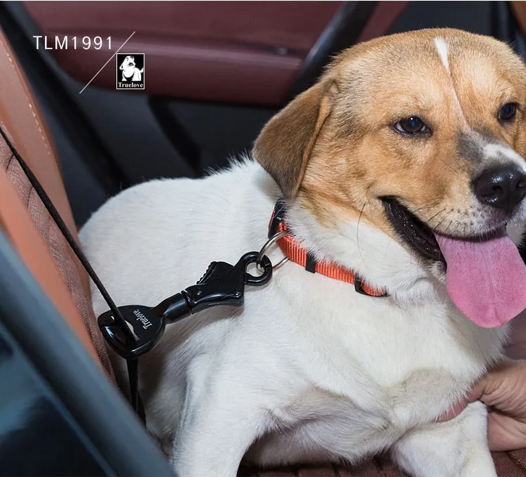 Car Seat Belt Harness & Collar Lock