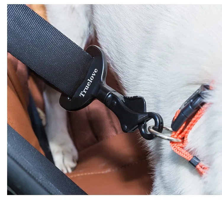 Car Seat Belt Harness & Collar Lock