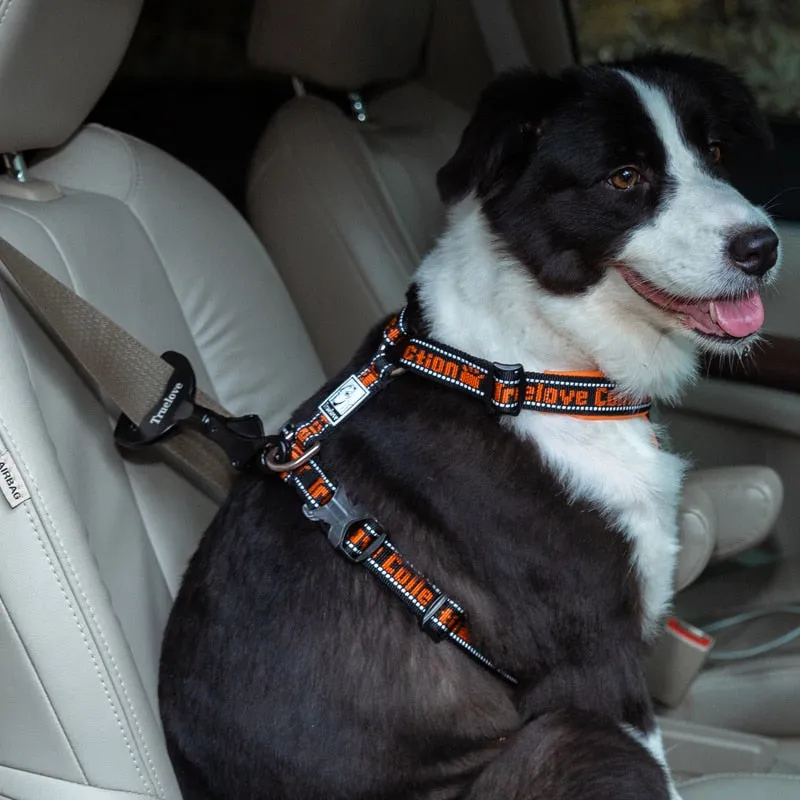 Car Seat Belt Harness & Collar Lock