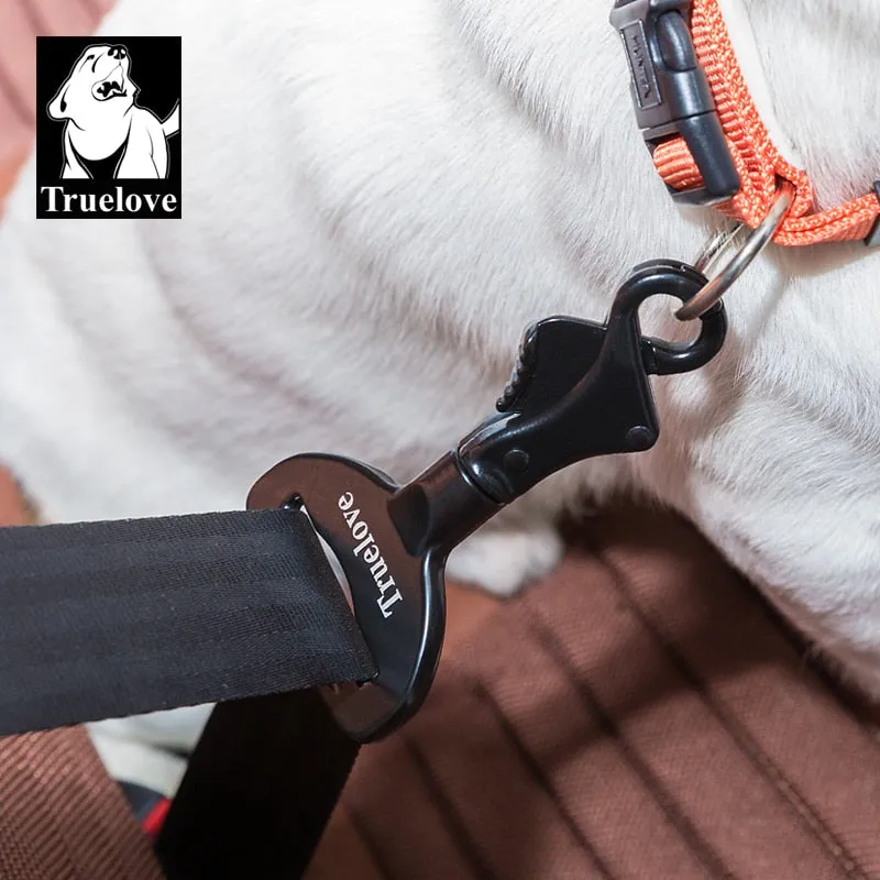 Car Seat Belt Harness & Collar Lock