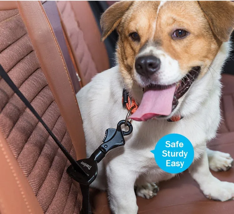 Car Seat Belt Harness & Collar Lock