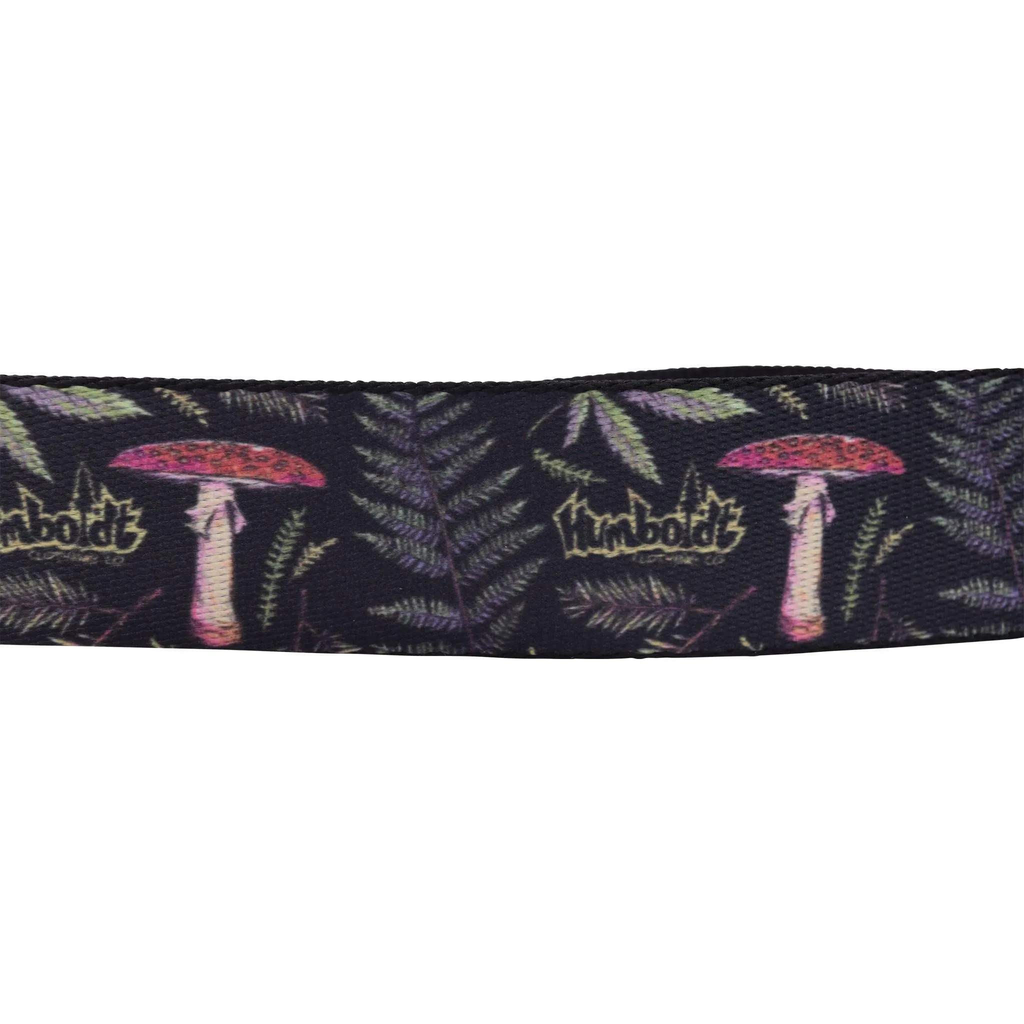 Forest Floor Belt